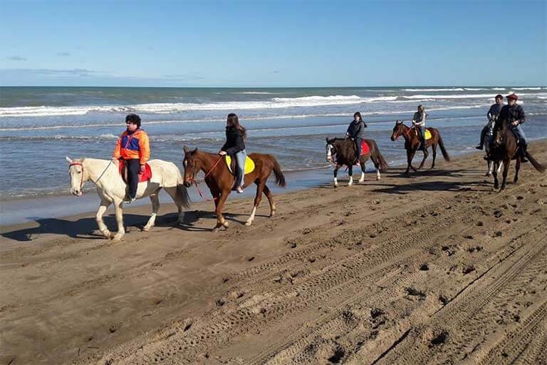 Alquiler de caballos y cabalgatas en Villa Gesell