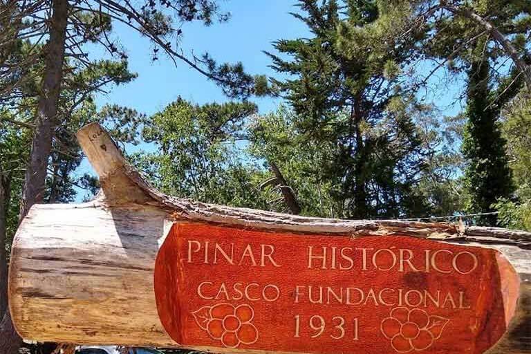 pinar del norte